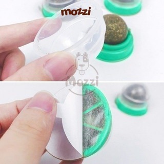Viên Catnip dán tường cho mèo