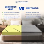 Nệm gấp 2 cao su non Trung Nguyên tiện lợi, đệm cao su non mềm mại êm ái, bảo vệ tốt sức khỏe người nằm — ảnh 4