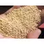 Kê Vàng Sạch, Chắc – Thức Ăn Bổ Dưỡng Cho Hamster, Vẹt, Yến Hót, Yến Phụng, Lovebird, Sẻ Nhật