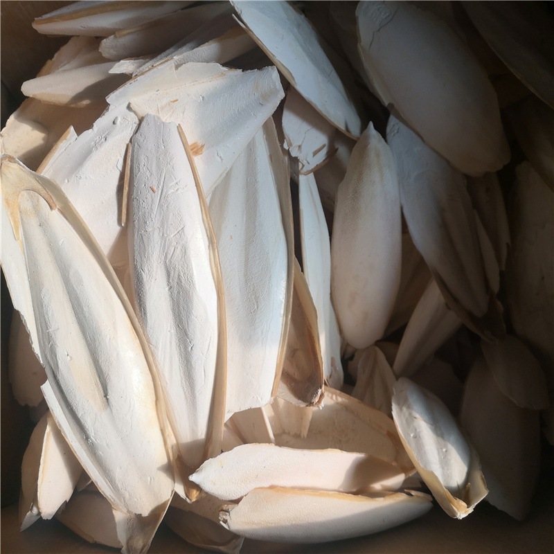 Nang Mực (Mai Mực) Bổ Sung Canxi Cho Chim Vẹt Lovebird Và Các Dòng Chim Cảnh Khác Size 15-35cm