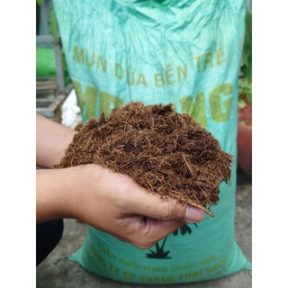 Mụn Dừa Bến Tre Mekong 52×84 Xả Chát Mươn Cây Giống Nguyên Liệu Phối Trộn