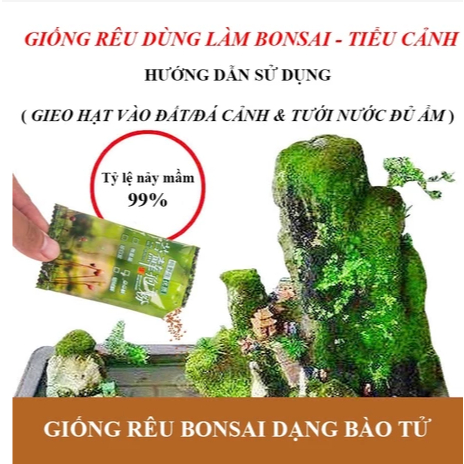 Bột Bào Tử Rêu Phủ Gốc Cây Bonsai – Giúp Cây Bonsai Phát Triển Mạnh Mẽ ...
