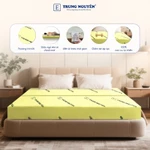 Nệm gấp 2 cao su non Trung Nguyên tiện lợi, đệm cao su non mềm mại êm ái, bảo vệ tốt sức khỏe người nằm — ảnh 3
