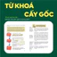 Bộ 4 cuốn P.H.A.O Toán, Ngữ văn, Lịch sử, Địa lí ôn luyện thi TN THPT, ĐGNL