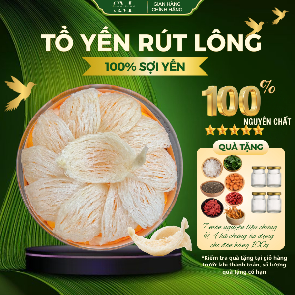 Tổ Yến Khánh Hoà Rút Lông Xương 100% sợi - SM Nest | Shopee Việt Nam