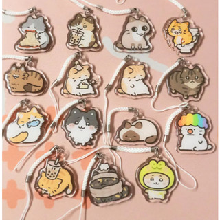 More Silly Cats Keychain Double-sided Acrylic Charm