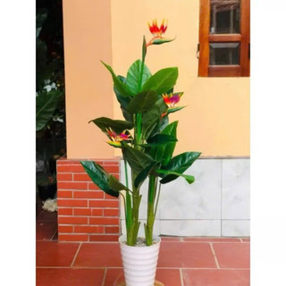Bộ 3 cây Thiên Điểu giả 1,5m decor cao cấp siêu đẹp- Cây giả decor