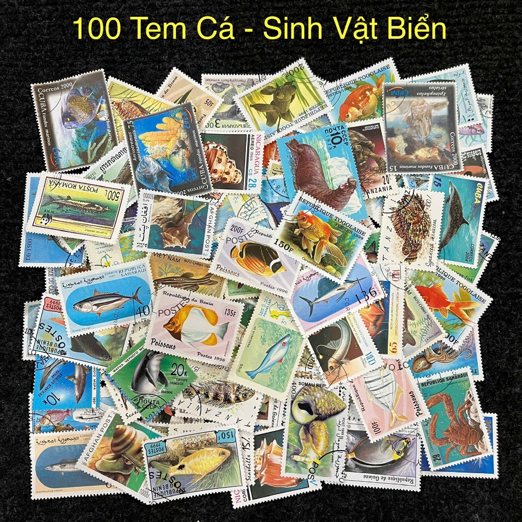 100 Con Tem Về Chủ Đề Cá Và Các Sinh Vật Biển - Tem Quốc Tế | Shopee ...