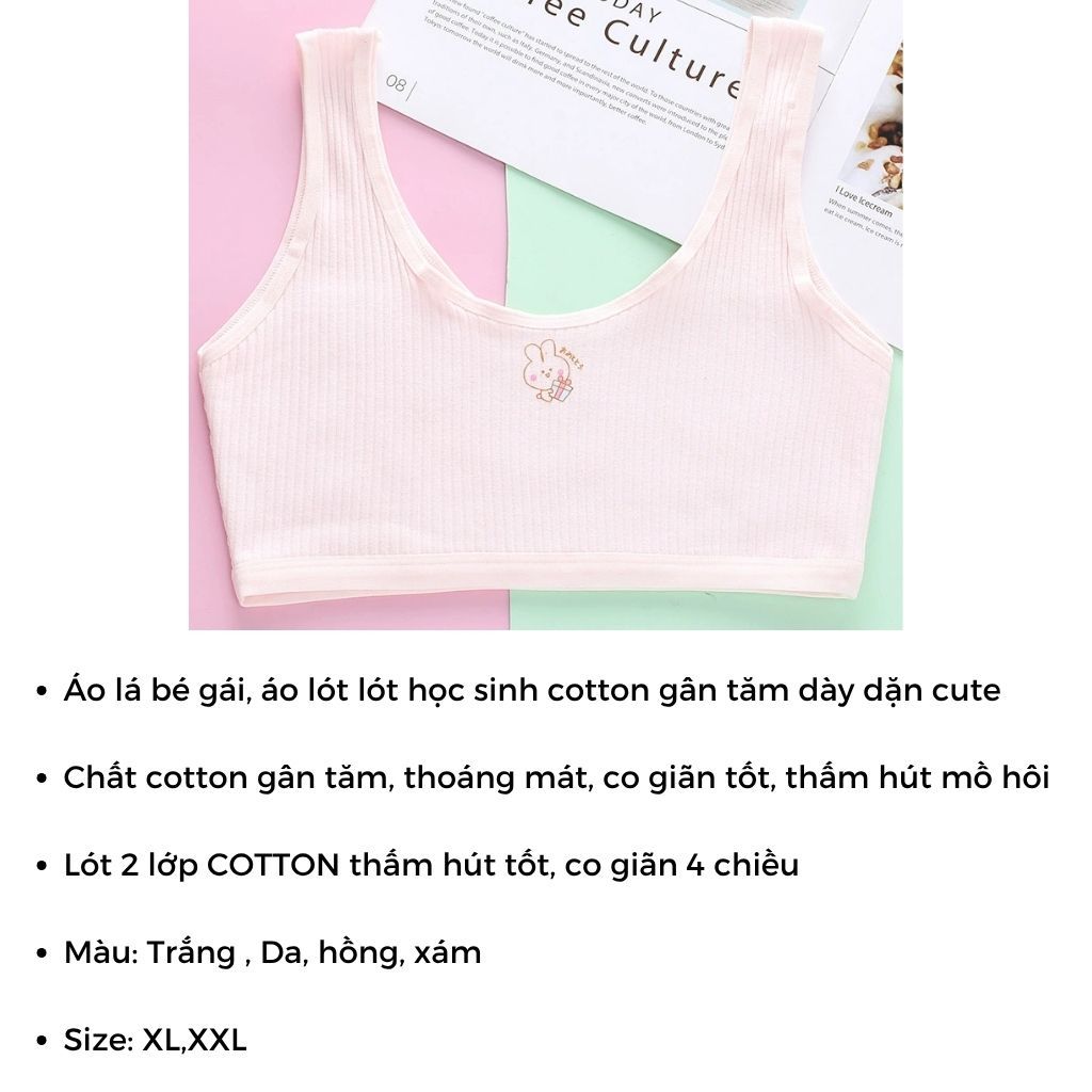 COMBO 3 Áo lá bé gái tuổi dậy thì cotton cao cấp - SET 3 Áo lót học sinh họa tiết xinh LANIXA A8574
