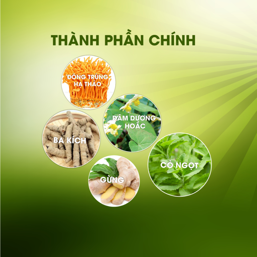 Trà Đỉnh Phong túi lọc