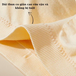Áo bra nữ không dây thun cotton co giãn linh hoạt - Áo quây ngang không gọng mút mỏng HOMEBRA B7735