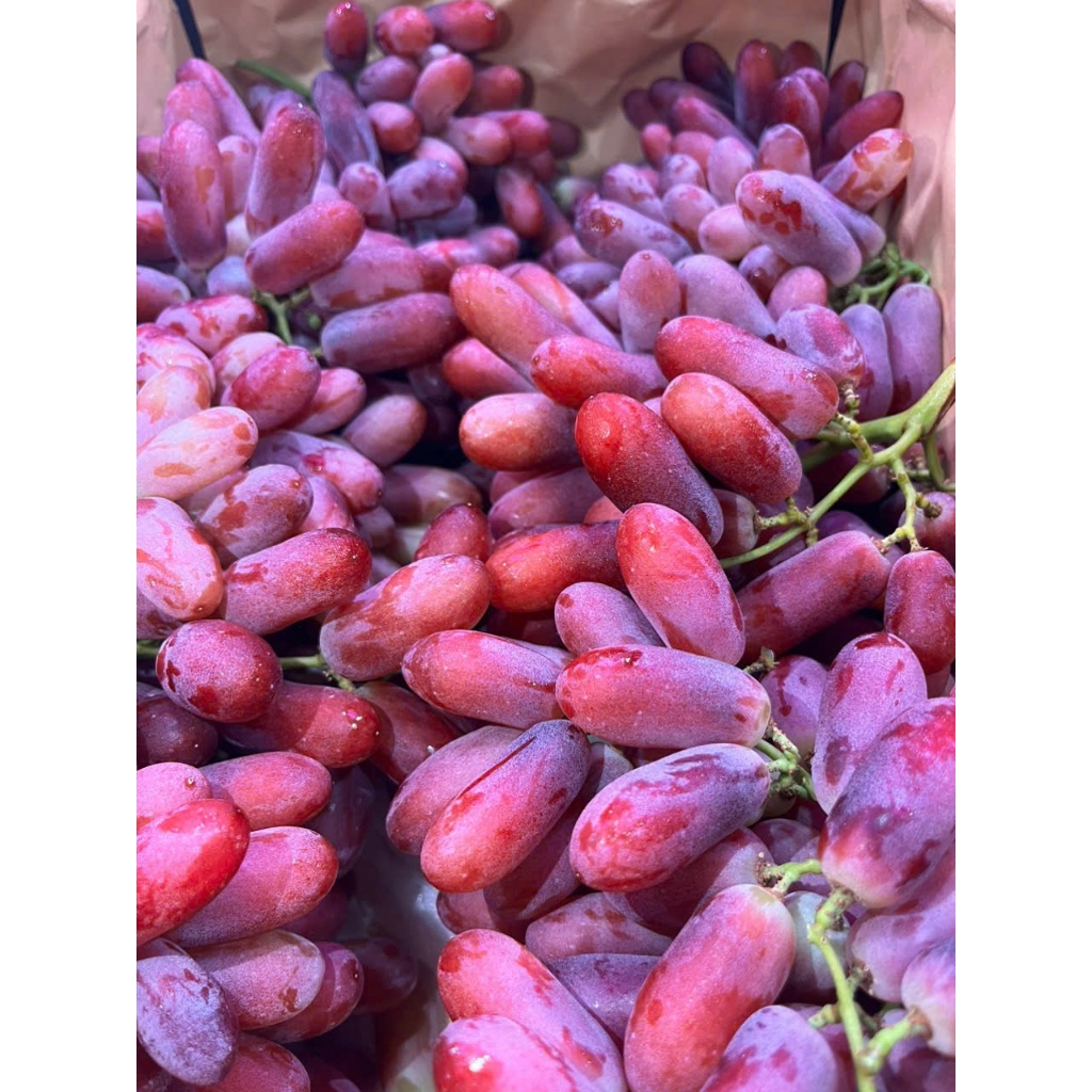 [Ship Hỏa Tốc HCM 1-2 giờ ] 1Kg nho Ruby dài tươi ngọt. cuống có se ...
