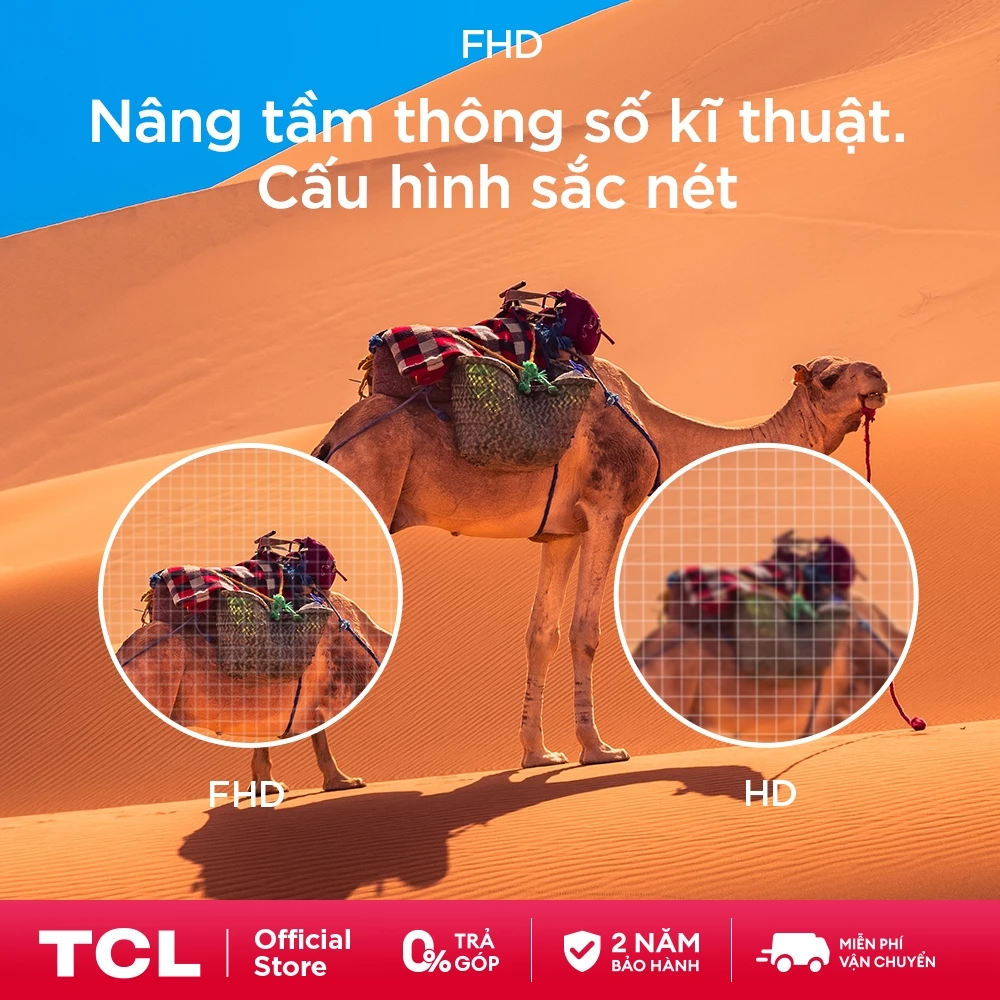 【QLED】TCL 43 inch QLED 43V5C, Google TV, Tần số quét 60Hz, Chứng nhận Dolby Atmos, Lắp 0đ HCM HN