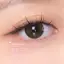 LENS IHOLIC BROWN