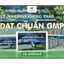 Nước cốt Nhàu nguyên chất Phong Thảo
