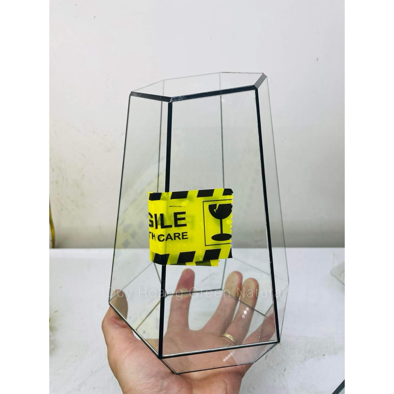 bể (bình kính ) setup terrarium mẫu cơ bản size mini