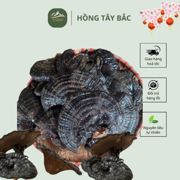 Nấm Hắc Chi Khô , Hắc Chi Hay còn Gọi Là Linh Chi Đen