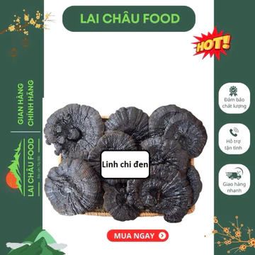 Nấm Linh Chi Đen Hay Còn Gọi Là Hắc Chi Rừng Khô