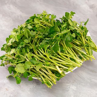 Hạt Giống Rau Cải Xoong, Dễ Trồng, Sinh Trưởng Phát Triển Khoẻ- gói 1 gam