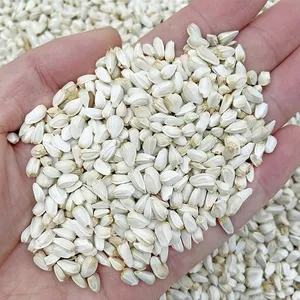 Hạt Kham Trắng Hạt Rum 500g/1kg - Giàu Protein, Vitamin E, Cho Chim Cảnh/Vẹt/Hamster/Gà Đá/Thỏ