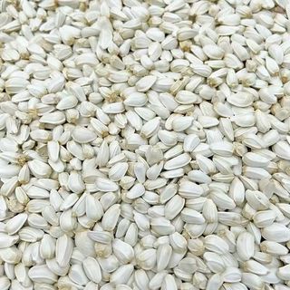 Hạt Kham Trắng Hạt Rum 500g/1kg - Giàu Protein, Vitamin E, Cho Chim Cảnh/Vẹt/Hamster/Gà Đá/Thỏ