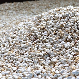Hạt Kham Trắng Hạt Rum 500g/1kg - Giàu Protein, Vitamin E, Cho Chim Cảnh/Vẹt/Hamster/Gà Đá/Thỏ