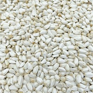 Hạt Kham Trắng Hạt Rum 500g/1kg - Giàu Protein, Vitamin E, Cho Chim Cảnh/Vẹt/Hamster/Gà Đá/Thỏ
