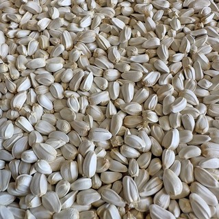 Hạt Kham Trắng Hạt Rum 500g/1kg - Giàu Protein, Vitamin E, Cho Chim Cảnh/Vẹt/Hamster/Gà Đá/Thỏ