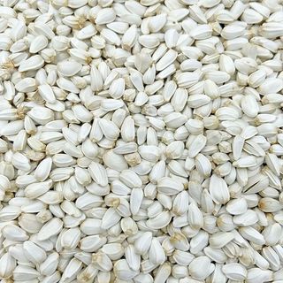 Hạt Kham Trắng Hạt Rum 500g/1kg - Giàu Protein, Vitamin E, Cho Chim Cảnh/Vẹt/Hamster/Gà Đá/Thỏ