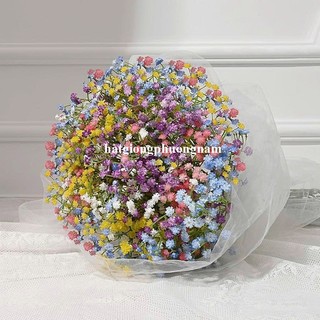 1 Gram - Hạt Giống Hoa Baby Mix Phương Nam