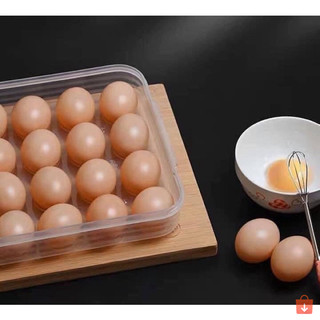 Combo 5 hộp đựng trứng 24 quả có nắp nhựa Việt Nhật bảo quản chắc chắn ms: 6786