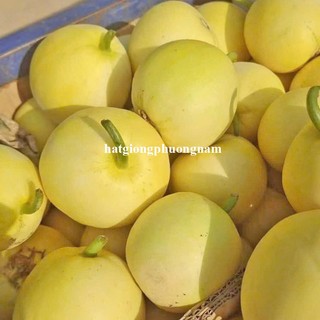 20 Hạt - Hạt Giống Dưa Lê Sáp Mật Ong F1 Phương Nam