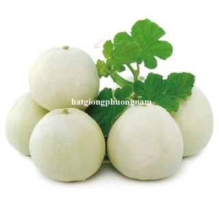 10 Hạt - Hạt Giống Dưa Lê Bạch Tuyết F1 Phương Nam