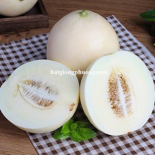 10 Hạt - Hạt Giống Dưa Lê Bạch Tuyết F1 Phương Nam