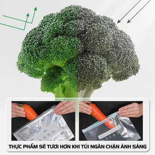 Set 10 Túi zip bạc đựng thực phẩm tươi sống, chất liệu nhôm titan có khoá tiện lợi, tái sử dụng