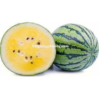 10 Hạt - Hạt Giống Dưa Hấu Ruột Vàng Phương Nam