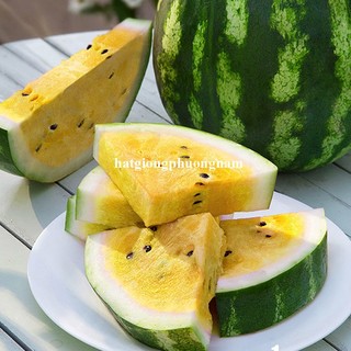 10 Hạt - Hạt Giống Dưa Hấu Ruột Vàng Phương Nam