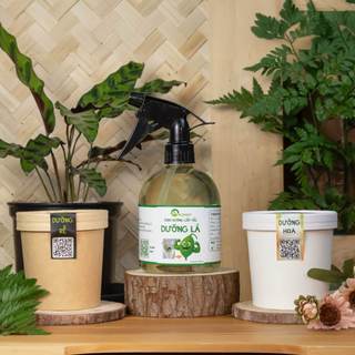 Nhà Thương Cây - COMBO DƯỠNG RỄ - DƯỠNG LÁ - DƯỠNG HOA