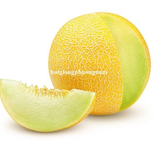 10 Hạt - Hạt Giống Dưa Lưới Vỏ Vàng Phương Nam