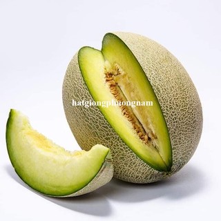 20 Hạt - Hạt Giống Dưa Lưới Ruột Xanh Phương Nam