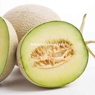 20 Hạt - Hạt Giống Dưa Lưới Ruột Xanh Phương Nam