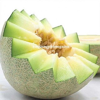 20 Hạt - Hạt Giống Dưa Lưới Ruột Xanh Phương Nam