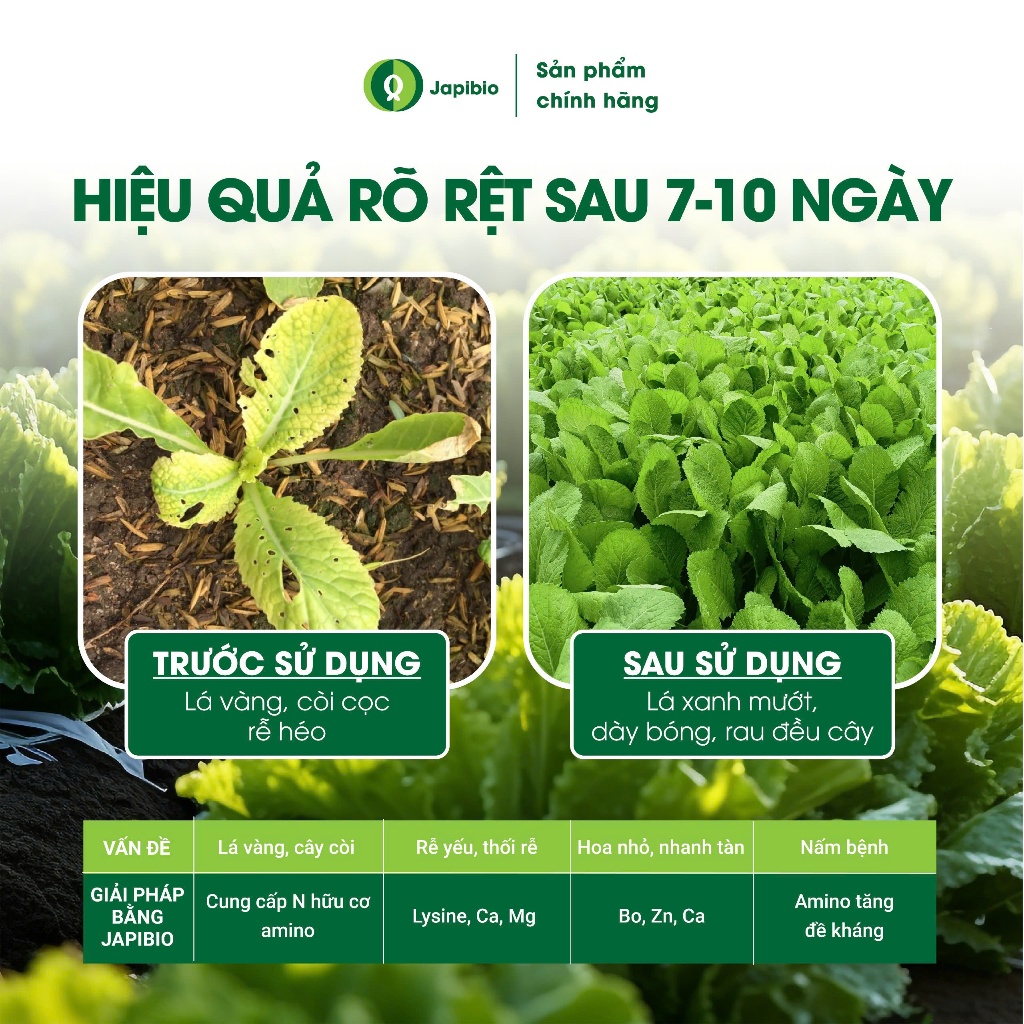 Đạm Cá Hữu Cơ JapiBio 1L – Nguyên Chất Không Mùi, Kích Rễ Nuôi Lá, Rau Xanh Mướt Đồng Đều