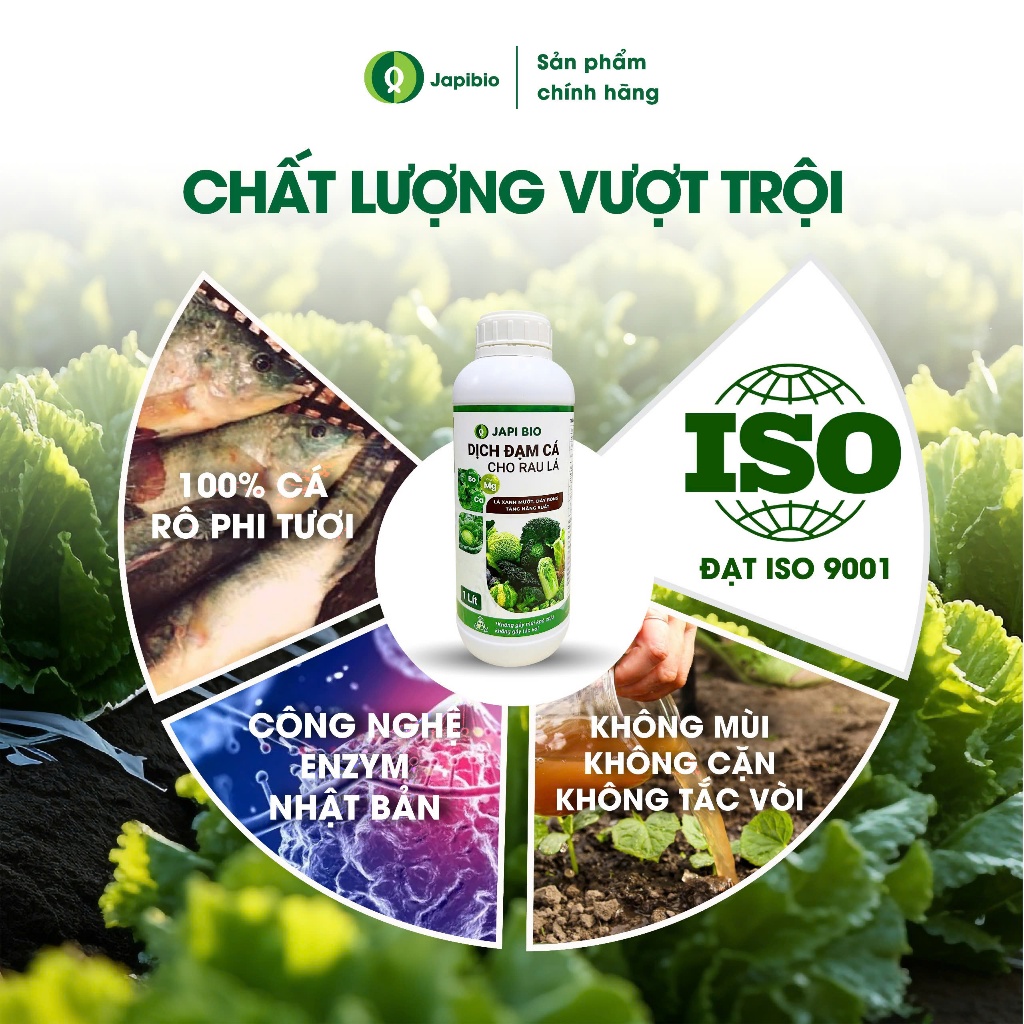Đạm Cá Hữu Cơ JapiBio 1L – Nguyên Chất Không Mùi, Kích Rễ Nuôi Lá, Rau Xanh Mướt Đồng Đều