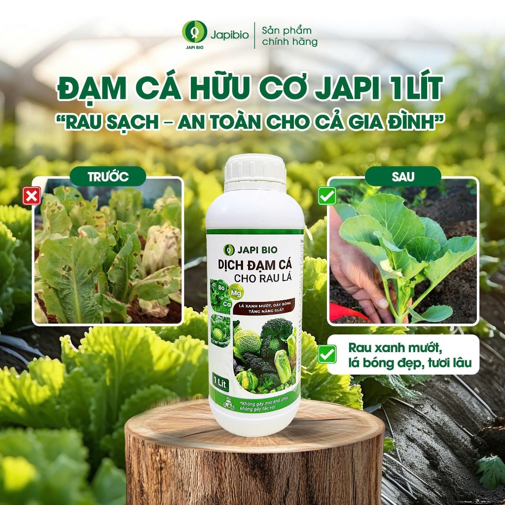 Đạm Cá Hữu Cơ JapiBio 1L – Nguyên Chất Không Mùi, Kích Rễ Nuôi Lá, Rau Xanh Mướt Đồng Đều