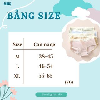 COMBO 3-5 Quần lót su lụa mềm mịn thoáng mát cạp vừa tôn dáng gợi cảm kiểu dáng basic DEVARI L369