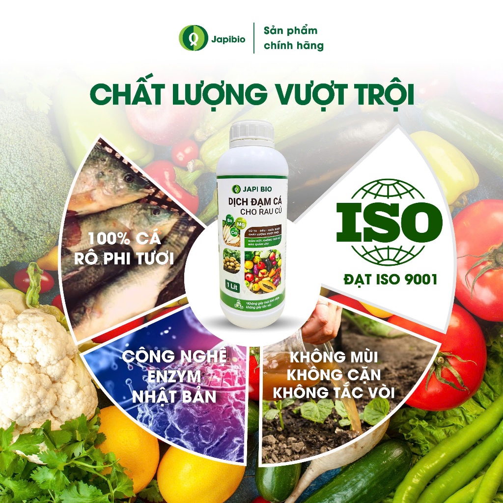 Đạm Cá Hữu Cơ JapiBio 1L – Phân Bón Nguyên Chất Không Mùi, Kích Rễ Nuôi Lá, Nuôi Củ Đều Đẹp