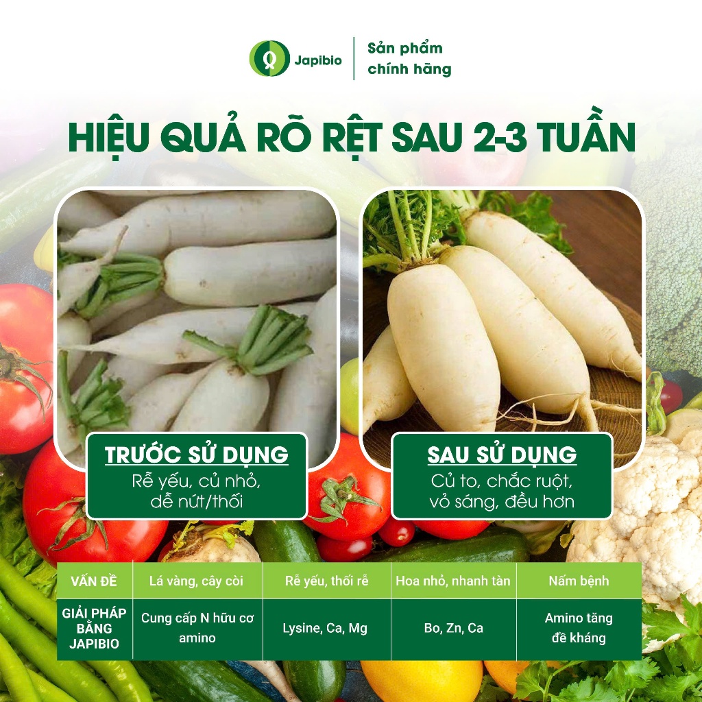 Đạm Cá Hữu Cơ JapiBio 1L – Phân Bón Nguyên Chất Không Mùi, Kích Rễ Nuôi Lá, Nuôi Củ Đều Đẹp