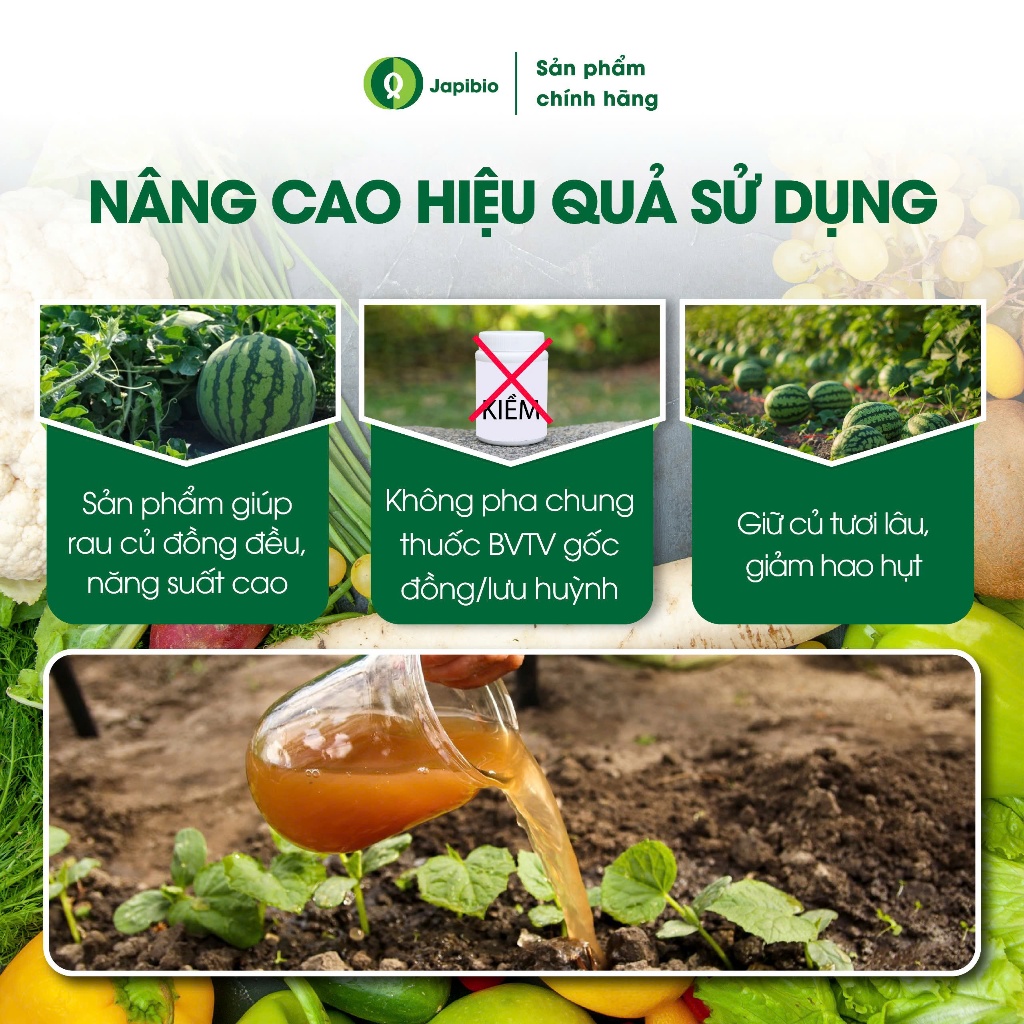 Đạm Cá Hữu Cơ JapiBio 1L – Phân Bón Nguyên Chất, Kích Rễ Khỏe, Lá Xanh, Củ To Đều
