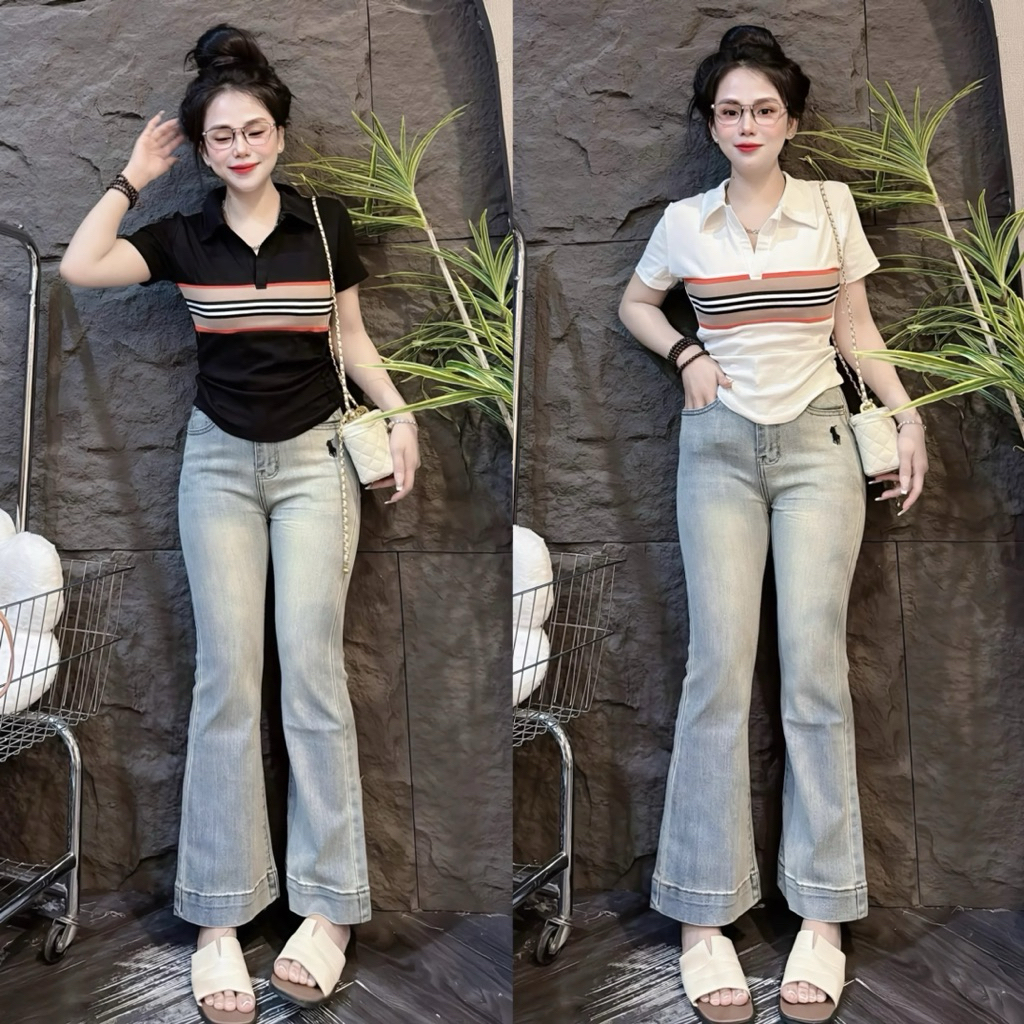 [ Có size 38kg - 58kg ]Áo thun nữ Pô Lô Sọc viên trước PHOM ÔM ( Pô Lô Viền B 151 ) Polo Top